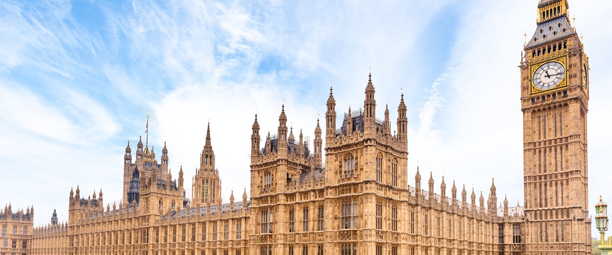 The Procurement Bill