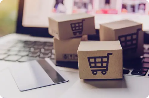 The Public Procurement Process