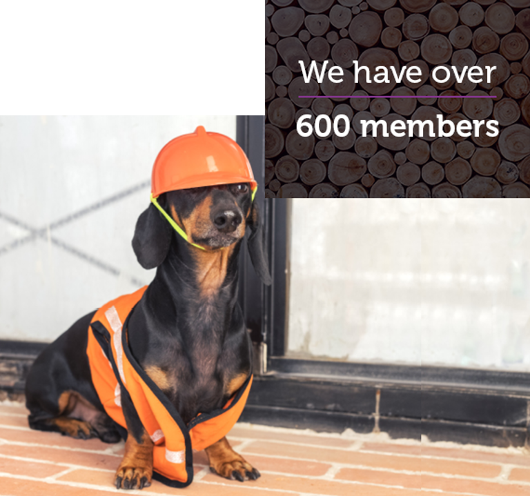 Ph 600 Members Website Tile Nov 2021