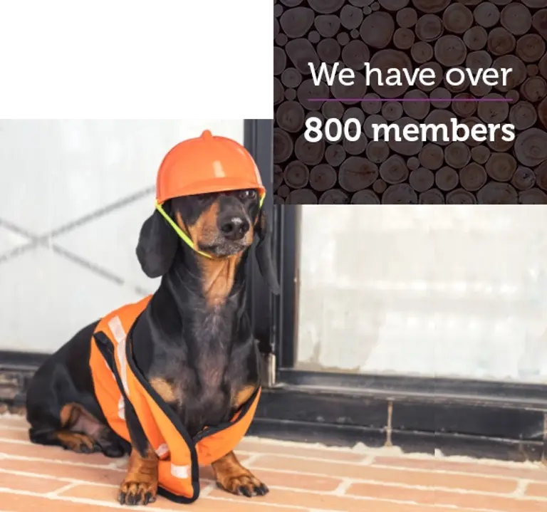 Ph 800 Members Website Tile Nov 2021