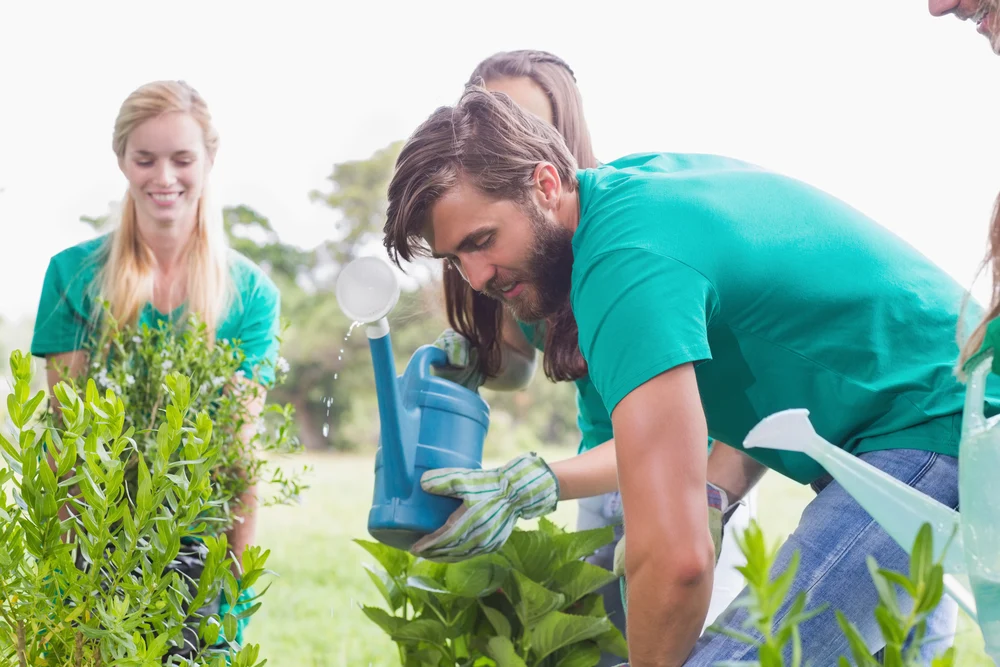 procurement and environmental responsibility.webp